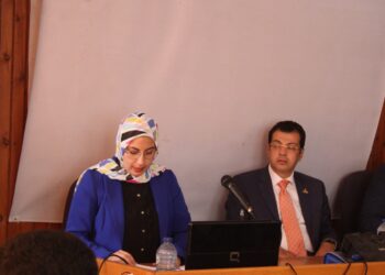 ندوة الجبهة الدبلوماسية المصرية عن أهمية المشاركة السياسية