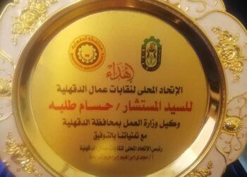 إستقبال الإتحاد المحلي لنقابات عمال الدقهلية والنقل البري وكيل وزارة العمل بالدقهلية