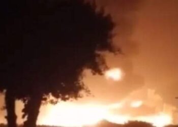 حريق هائل بأشجار مزرعة للصرف الصحي بسوهاج