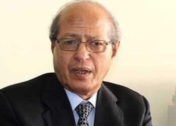 الاثنين القادم:صالون د. صديق عفيفى يستضيف السفير رخا حسن مساعد وزير الخارجية السابق