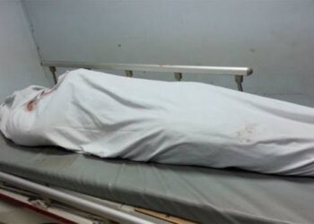 خناقة على ليلة حمراء مع هالة أنهت حياة عشيقها