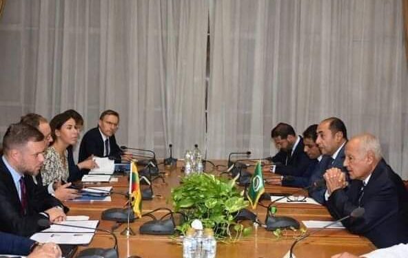 الأمين العام لجامعة الدول العربية يؤكد ضرورة وقف الحرب الدائرة في غزة وتوفير الحماية للفلسطينيين