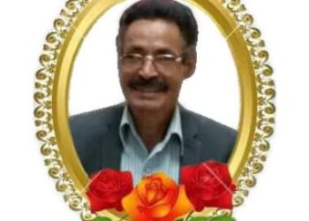 الكلاب تنبح من بعيد **