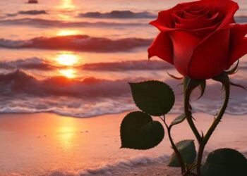 امطرتك والشعر      مجدليات 