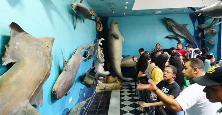 خلف يشارك الفوج الثاني من المعسكرات الصيفية بالغردقة جولتهم الحرة