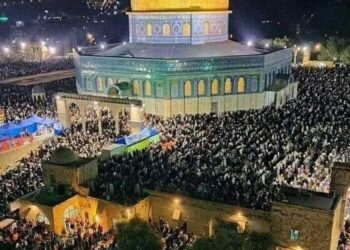 الجالية المصرية في هولندا تؤيد انتخاب الرئيس السيسى لفترة جديدة