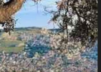 بعد قصف نابلس…مخاوف من اتساع رقعة الحرب الى الضفة