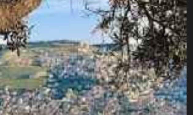 بعد قصف نابلس…مخاوف من اتساع رقعة الحرب الى الضفة