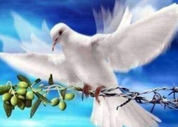 أرجو السلام