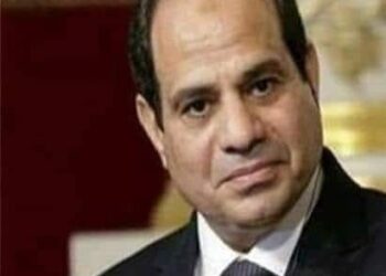 الرئيس السيسي : يشهد تدشين الفرقاطة المصرية “الجبار” عبر الفيديو كونفرانس