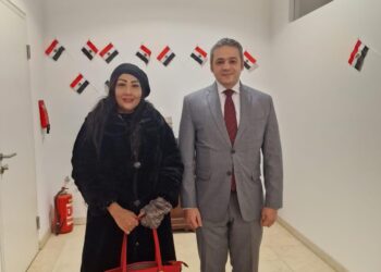 المصريون في النمسا يسطرون ملحمة وطنية جديدة