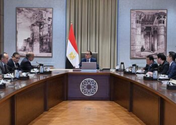 رئيس الوزراء يبحث مع شركتين صينيتين فرص الاستثمار والتمويل بمجالي تصنيع الخلايا الشمسية وأشباه الموصلات