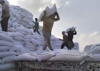 زيادة معدلات انتاج السكر لصالح شركات توزيع القطاع الخاص