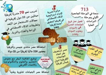 حصاد الدعم المصري لإفريقيا في مجالي التعليم العالي والبحث العلمي 2023