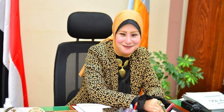 متابعة أعمال الخطه الاستثمارية لتجديد شبكة الكهرباء