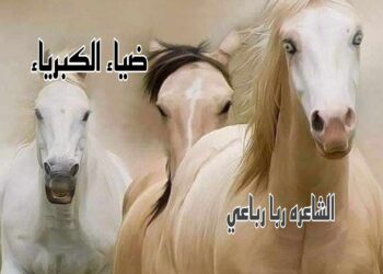 ضياء الكبرياء