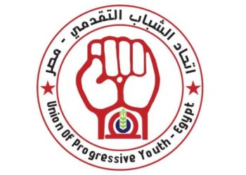 اتحاد الشباب التقدمي بالدقهلية بالمحليات نحمي الجمهورية الجديدة
