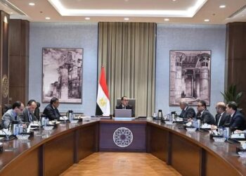 رئيس الوزراء يتابع عددا من مشروعات التطوير بمحافظة الجيزة