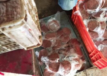 ضبط ٢٣ طن مصنعات غير صالحة للاستهلاك الآدمي بالجيزة