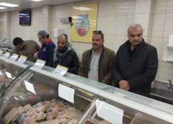 الدقي …والطب البيطري  وحملة بالجيزة لمراجعة صلاحية اللحوم و اشترطات التخزين!!