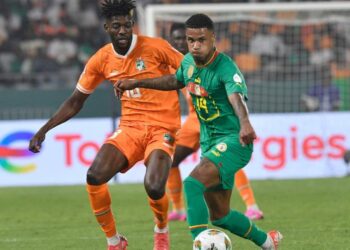 الأفيال تدهس الأسود..!!