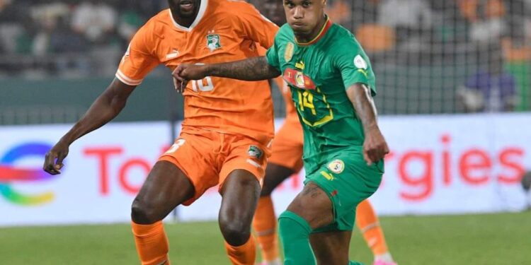 الأفيال تدهس الأسود..!!