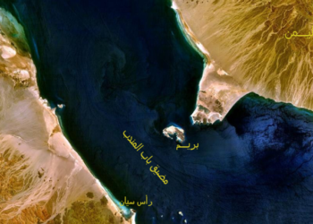 خلال لقاء مدبولي  مع مسؤولي شركة “ميرسك العالمية”  
