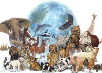 الحيوانية ماذا لو نطقت 