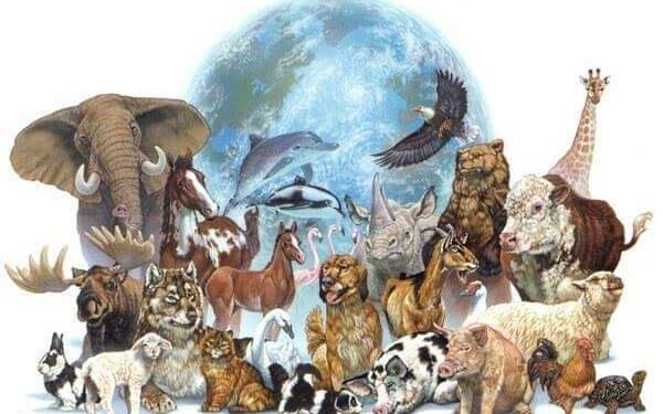 الحيوانية ماذا لو نطقت 