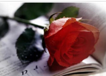 حكايات لا تنتهي…!