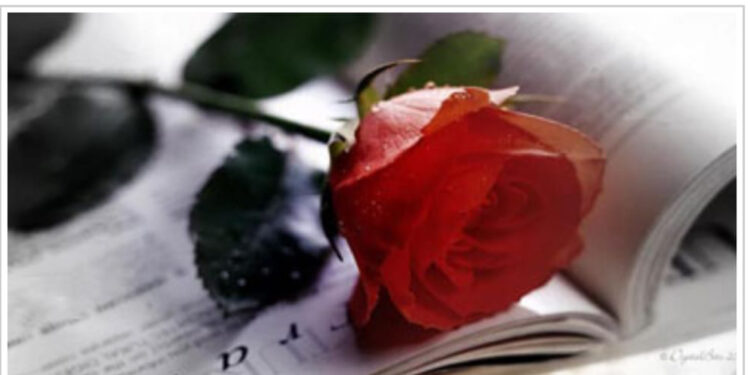 حكايات لا تنتهي…!