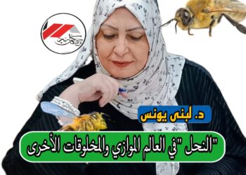 *في العالم الموازي *و *المخلوقات الاخري*