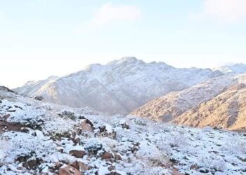 فرحة كبيرة في السعودية بتساقط الثلوج على قمم “تروجينا”