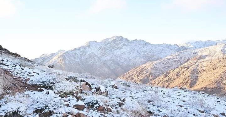 فرحة كبيرة في السعودية بتساقط الثلوج على قمم “تروجينا”