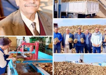 “راشد”يتابع عمليات توريد واستلام محصول البنجر