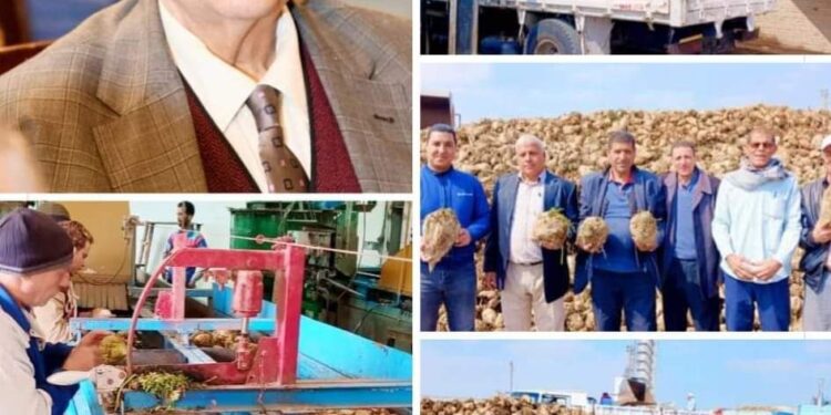 “راشد”يتابع عمليات توريد واستلام محصول البنجر