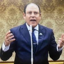برلماني يتوقع تجاوز حصيلة الاستثمارات المباشرة بمصر 100 مليار دولار في 2024