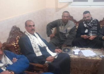 القبائل العربية بقرية الجميزة بمركز السنطة تنجح في فض نزاع بين عائلتين