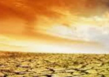 ترتفع درجات الحرارة ويكون الضباب كثيفًا صباح الغد