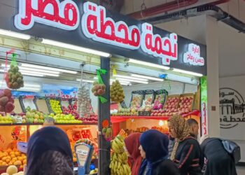 الرئيس السيسى يهتم بتطوير الإسكندرية وإنشاء مشاريع لتعود عروس البحر