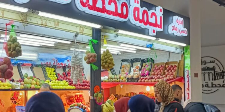 الرئيس السيسى يهتم بتطوير الإسكندرية وإنشاء مشاريع لتعود عروس البحر