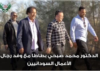 الاستثمار السوداني في نسور الوادي!!