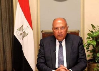وزير الخارجية المصرى: 135 دولة اعترفت بالدولة الفلسطينية!