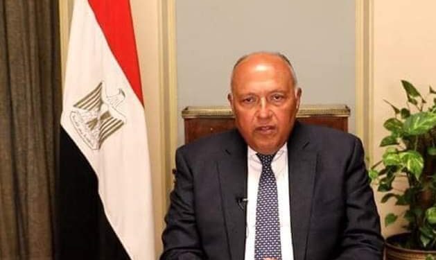 وزير الخارجية المصرى: 135 دولة اعترفت بالدولة الفلسطينية!