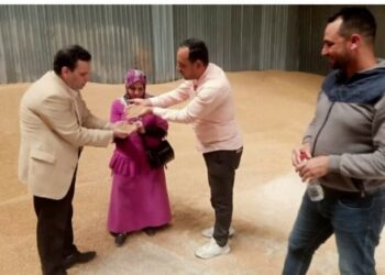 (تموين اسكندرية استمرار …متابعات توريد الأقماح المحلية)