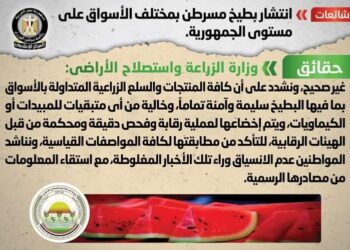 وزارة الزراعة تنفى شائعة انتشار بطيخ مسرطن على مستوى الجمهورية