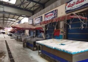 لليوم الثالث علي التوالي أهالي بورسعيد يواصلون حملتهم لمقاطعة شراء الأسماك