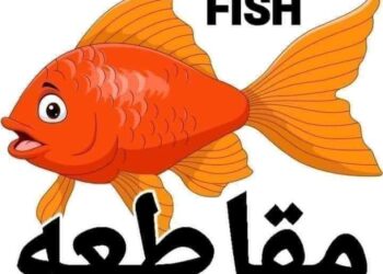 حملة مقاطعة الأسماك “خليها تعفن” بالإسكندرية