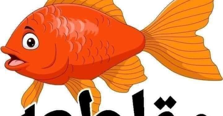 حملة مقاطعة الأسماك “خليها تعفن” بالإسكندرية