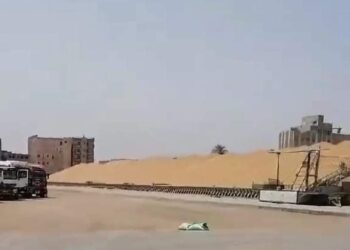 مطاحن مصرالعليا تحقق نسب استلام متميزة للاقماح المحلية لهذا العام